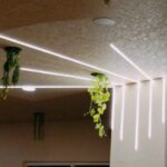 WhatsApp Image 2026-01-27 at 1.21.09 PM (3)_29_11zon